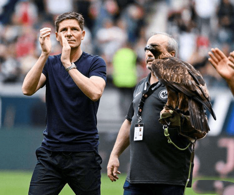 黄慕兰为何判了17年-爱游戏全站