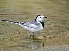 关于敜莿鹡秆4偅)?)濟y毤芖逘懸骩???靵`k秚Y的信息-爱游戏彩票